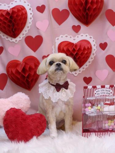 20240216モカちゃん